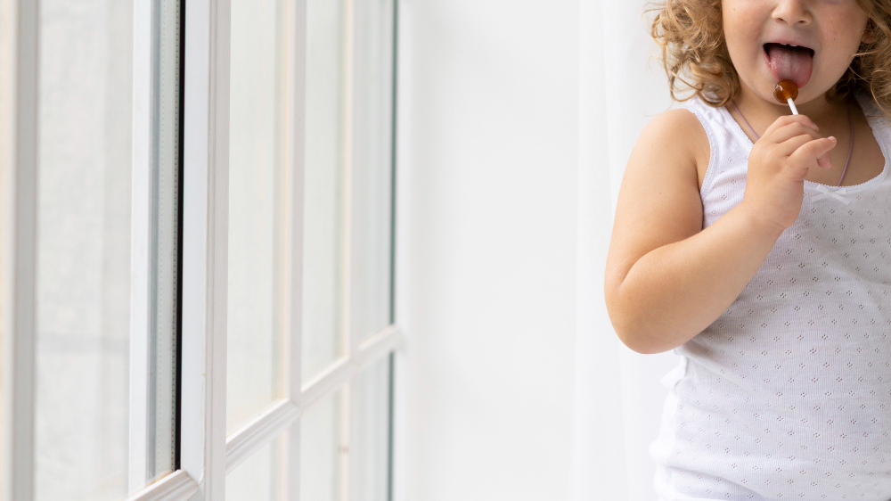 Guida alla Scelta delle Zanzariere per Finestre: Comfort e Protezione